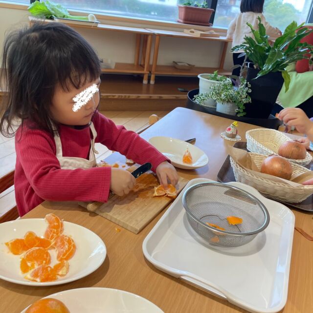 最近のお友達の活動をいくつか紹介いたします🤲　①朝おやつのみかんを切る　②給食使う玉ねぎの皮を剥く　③スナップボタンを止める　④机磨く　⑤洗濯をする